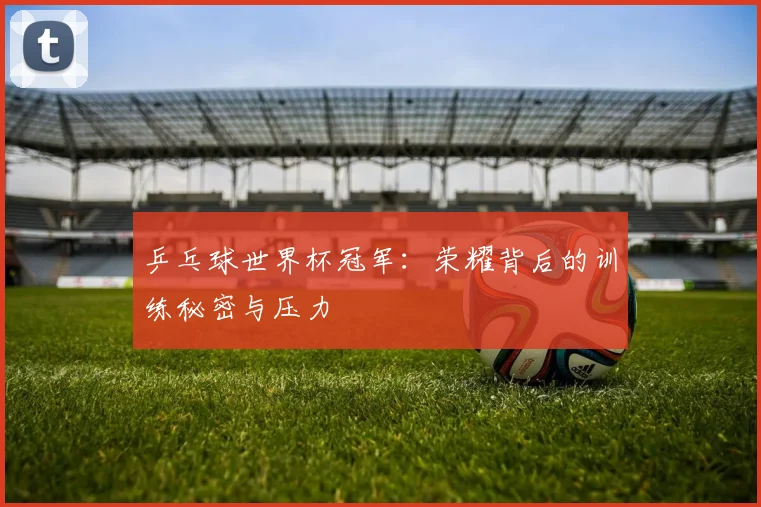 乒乓球世界杯冠军：荣耀背后的训练秘密与压力
