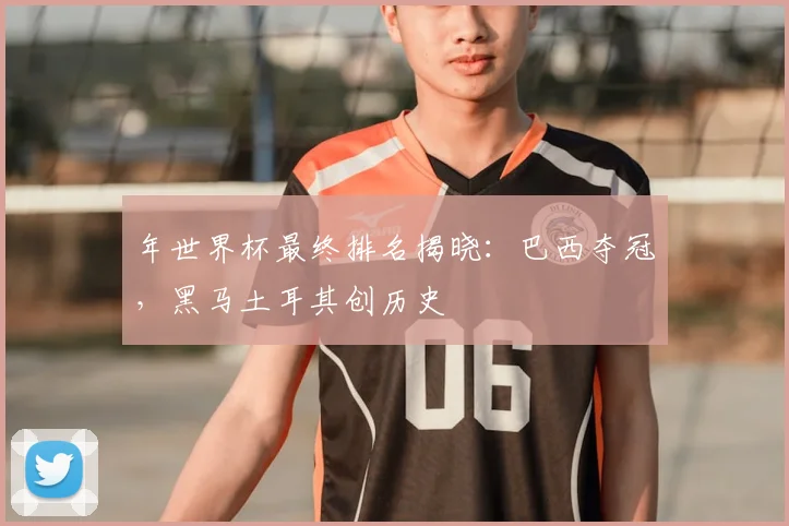 年世界杯最终排名揭晓:巴西夺冠,黑马土耳其创历史