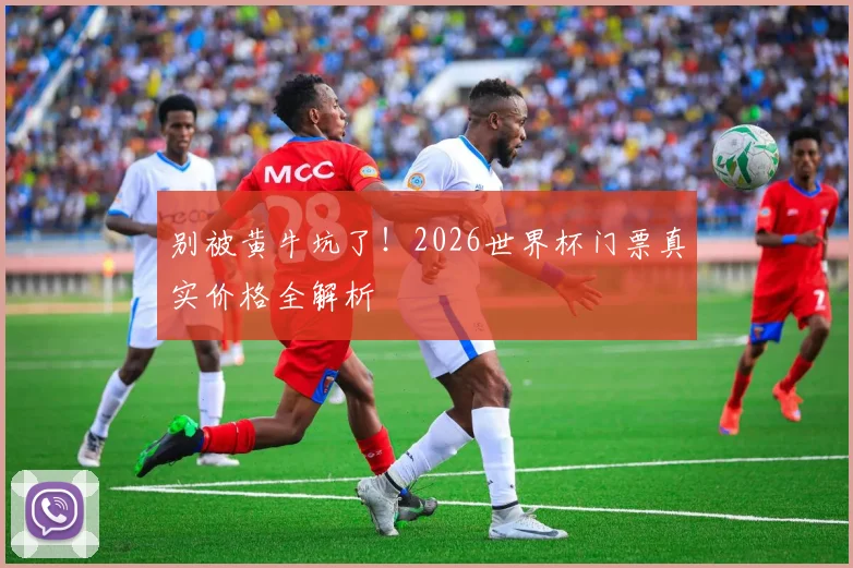 别被黄牛坑了！2026世界杯门票真实价格全解析