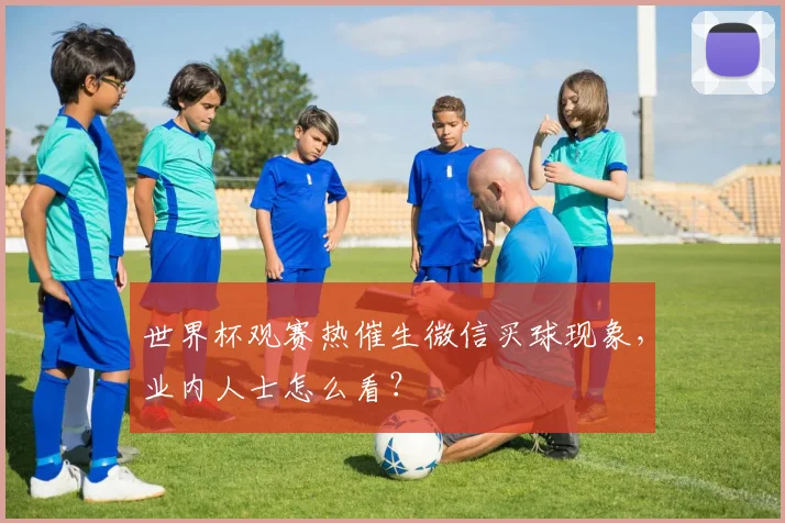 世界杯观赛热催生微信买球现象，业内人士怎么看？