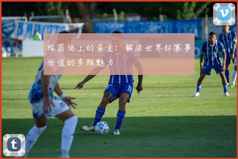 绿茵场上的黄金：解读世界杯赛事价值的多维魅力