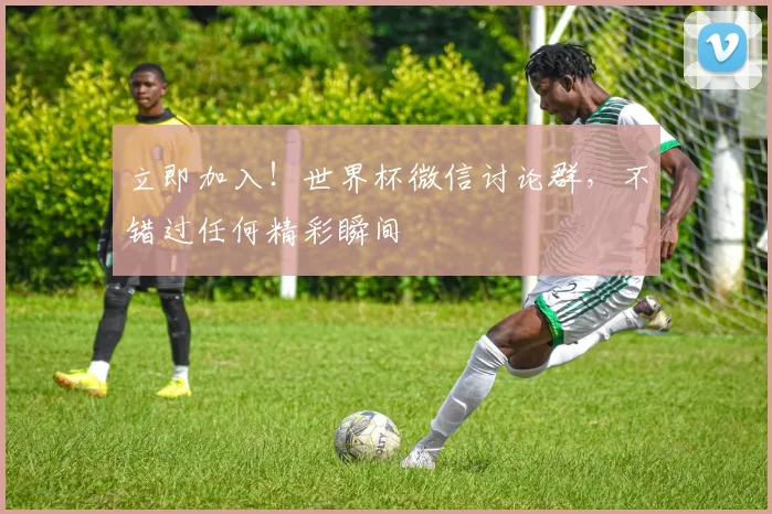 立即加入！世界杯微信讨论群，不错过任何精彩瞬间