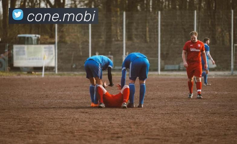 爱体育电子官方网站平台生态图